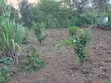 Ardhi na Jumba la Vyumba 7 Linalojengwa kwa Uuzaji Matuu - 2