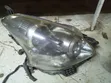 Toyota Ractis 2010 Xenon Headlight (Used) - 2