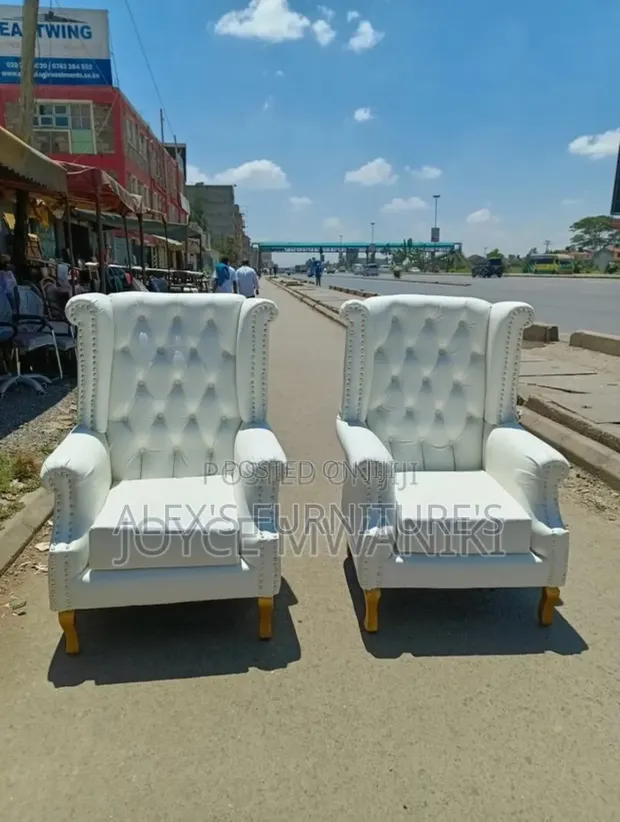 Brand New King Chairs / Salon Chairs - 1