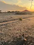 40x80 Residential Plot for Sale in Juja Mumba - 2