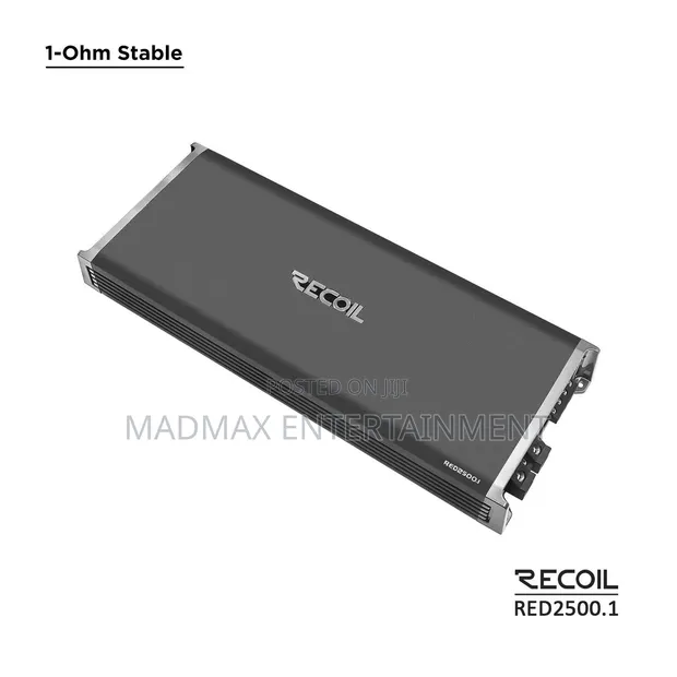 Reoil Audio Monoblock Amplifier 2500.1 - 1