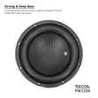 Recoil Audio PW12D4 12" Subwoofer - 1