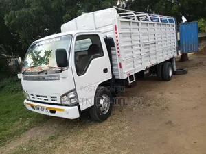 Used Isuzu NQR Mini Truck