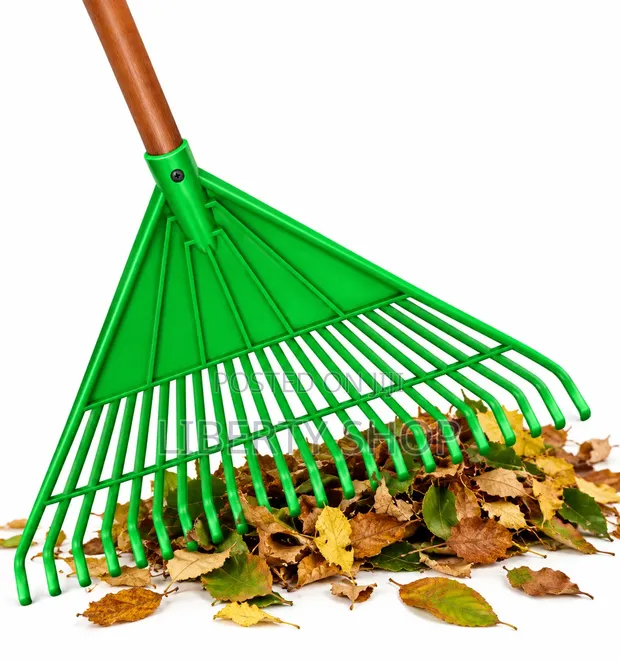 Leaf Lawn Rake - Garden Tool for Grass & Leaves - 1