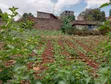 Kitalu cha Eka 1/4 Githurai 44 Mtaa wa Kamiti - 3