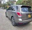 Subaru Forester 2016 Gray - 3