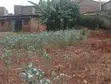 Kiwanja cha Biashara Githurai 44 - 86x126ft - 1