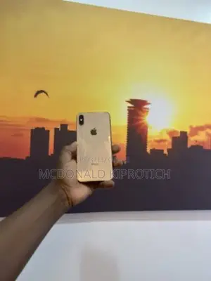 Apple iPhone XS Max 256GB Silver