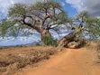 Embu County, Kiambere 6.5 Acres Agricultural Farm - 1