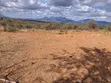 Embu County, Kiambere 6.5 Acres Agricultural Farm - 2