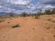 Embu County, Kiambere 6.5 Acres Agricultural Farm - 4