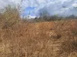 Embu County, Kiambere 6.5 Acres Agricultural Farm - 5