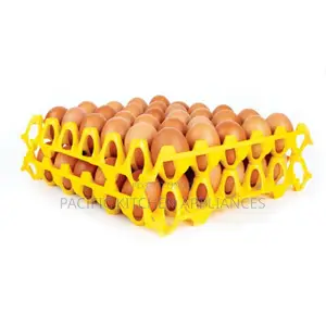 1 PC Plastic Egg Tray Rack - 30 Eggs Capacity