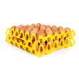 1 PC Plastic Egg Tray Rack - 30 Eggs Capacity - 2