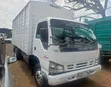 Isuzu NPR Rigid Truck - 1