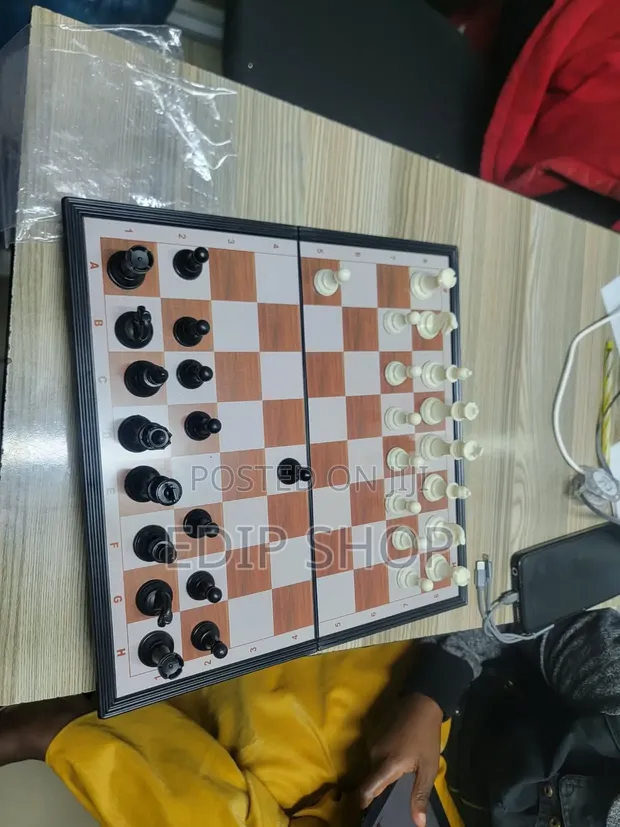 Portable Medium Size Chess Board - 1