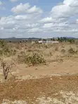 Vipande 50x100 Vinauzwa Matuu - 4