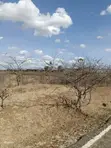Vipande 50x100 Vinauzwa Matuu - 5