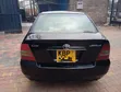 Toyota Corolla NZE Luxel 2005 - 4