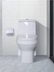 Frencia Toileti ya One-Piece (WC-8078) - 1