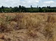 3 Acres Land for Sale Near Nanyuki Airfield - 2