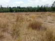 3 Acres Land for Sale Near Nanyuki Airfield - 3