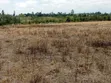 3 Acres Land for Sale Near Nanyuki Airfield - 4