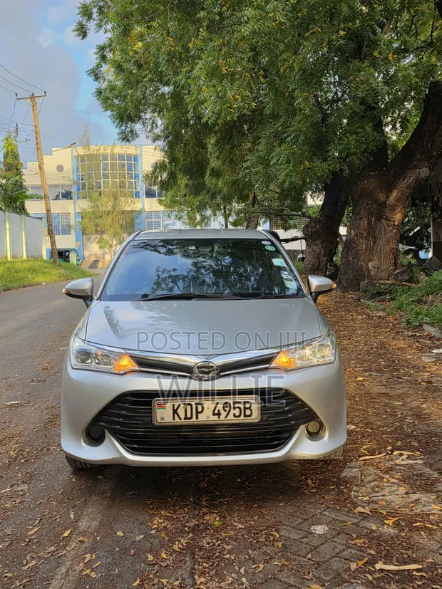 Toyota Axio 2016 Silver - 1