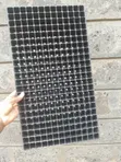 Seedling Trays (204 & 286 Holes) - 1