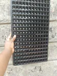 Seedling Trays (204 & 286 Holes) - 2