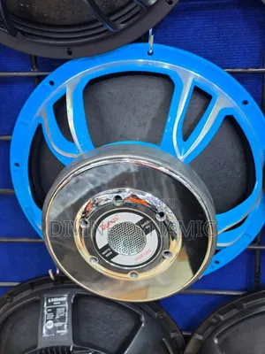 Darwel 15" Naked Speaker DE 1200