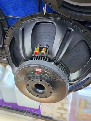 NR Naked Speaker 15 Inch