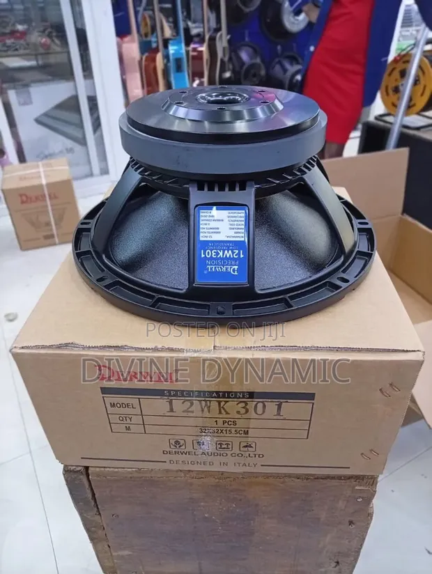 Darwel Naked Speaker 12" WK-301 - 1