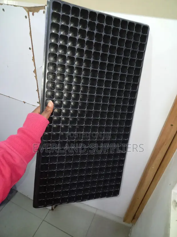 Seedling Success Trays - Wholesale - 1