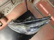 Mitsubishi Mirage 2016 Xenon Headlight - 3