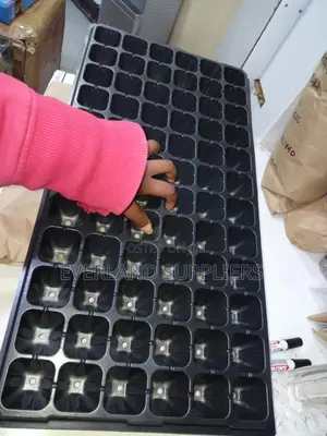 Precision Planting Seedling Trays - Wholesale
