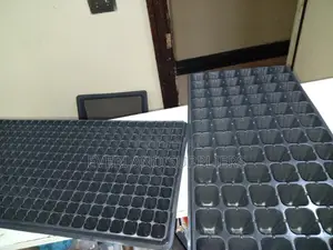 Nursery Growth Seedling Trays - Wholesale