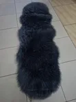 Matilasi za Kando ya Kitanda za Chihuahua za Kifahari Zenye Uso Lainii Sana - 1
