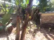 Bungalow ya Vyumba 4 vya Kulala na Vyoo vya Ndani Matasia, Ngong - 3