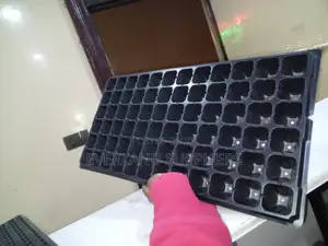 Seedling Sorting Trays - Wholesale