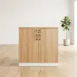 2-Door Cherry Brown Filing Cabinet - 3