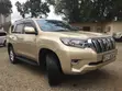 Toyota Land Cruiser Prado 4.0 Petrol TX-L 2009 Dhahabu - 3