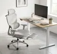 Orthopedic Workspace Gray Office Chair - 5