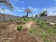 Prime Quarter Acre Plot for Sale in Diani, Galu Kinondo - 2