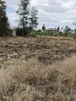 50x100 Plots for Sale in Joska, Kangundo Road - 3