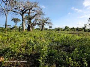 Prime Quarter Acre Plots for Sale in Galu, Diani