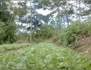 Kantafu Kangundo Road Residential Land