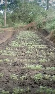 Kantafu Kangundo Road Residential Land - 2