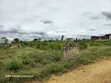 Prime Plot for Sale in Galu, Diani - 3