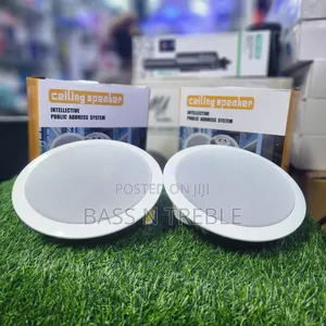 Intellective PA Ceiling Speaker System - Mpya Kabisa